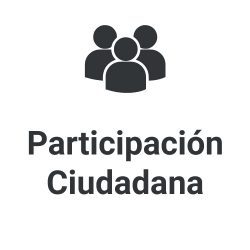 Participacion_Ciudadana-pm1x4br4yddbqvx4p8vj5gpm6k471m35bs4ol14fgk